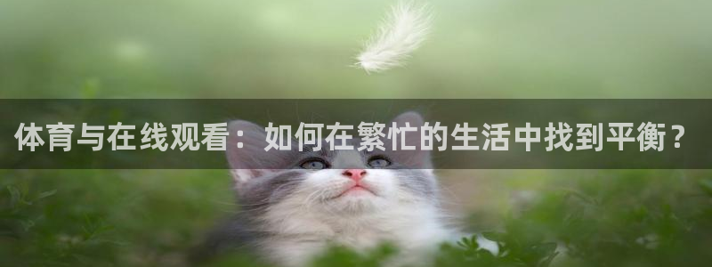 咪咕体育在线观看