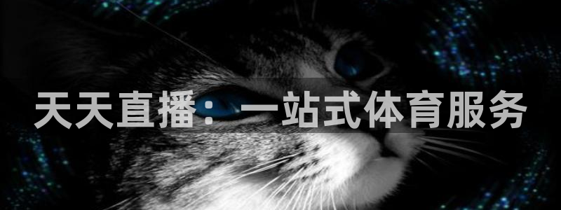 体育新闻