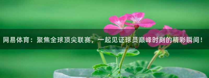 咪咕体育在线观看