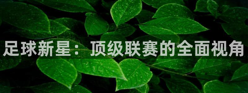 咪咕体育官网