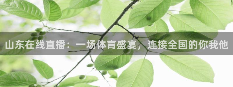 咪咕体育在线看