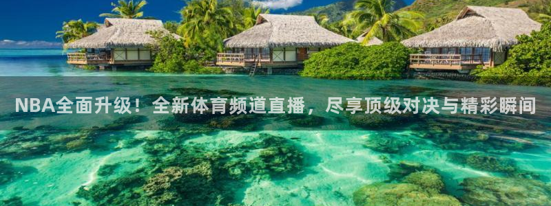 咪咕体育直播在线观看