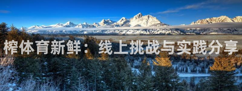 咪咕体育在线看