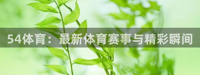 咪咕体育直播