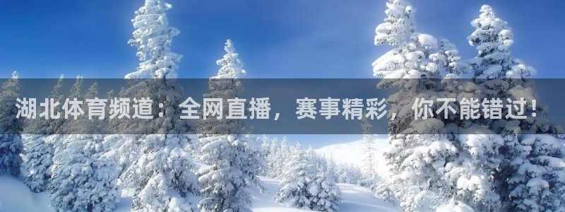 咪咕体育客服电话