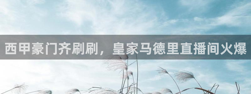 体育新闻