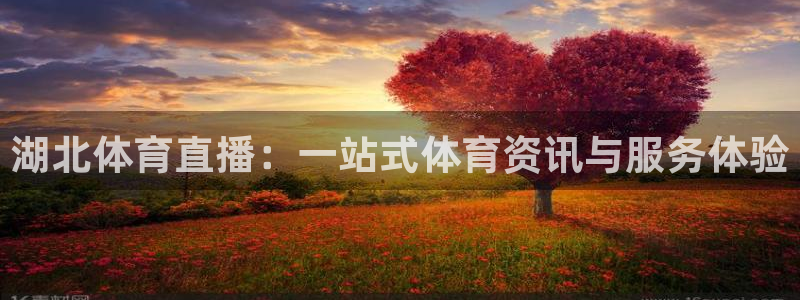 咪咕体育app下载
